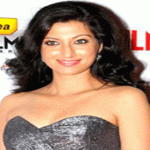 Hamsa Nandini Bio Height Boyfr...